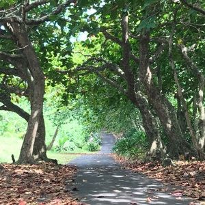 Meet your Posher, Nathalie